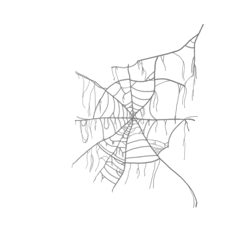 Cobweb 1